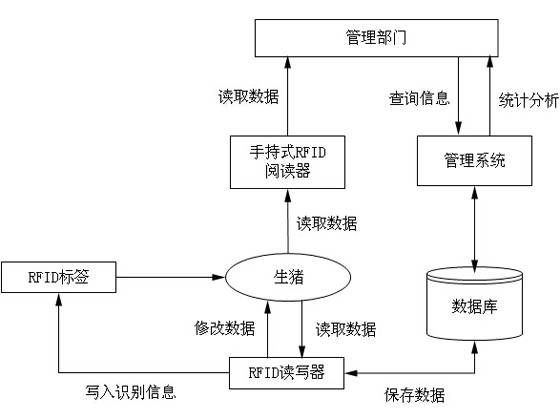 RFID技术实现精确性饲养